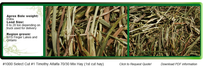 alfalfa timothy 50/50 80/20 mix hay 2 string bales