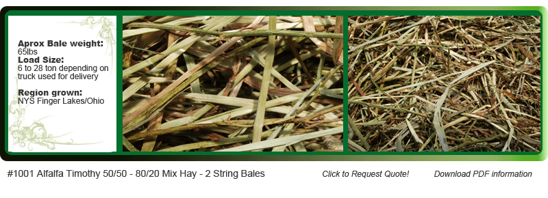 alfalfa timothy 50/50 80/20 mix hay 2 string bales
