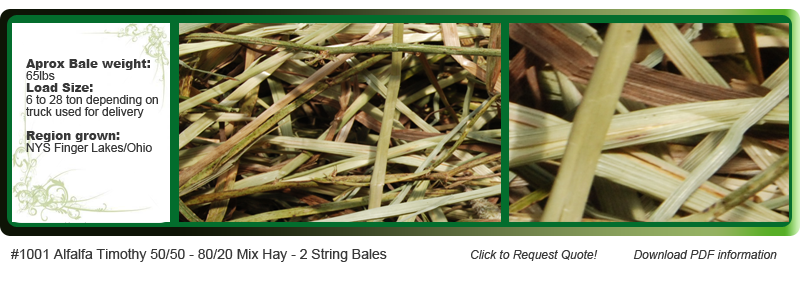 alfalfa timothy 50/50 80/20 mix hay 2 string bales