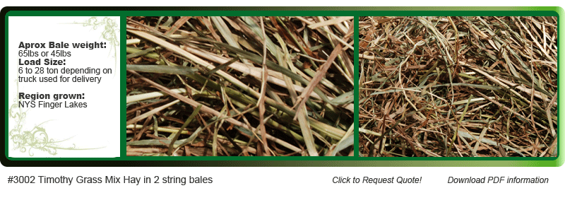 timothy grass mix hay 2 string bales