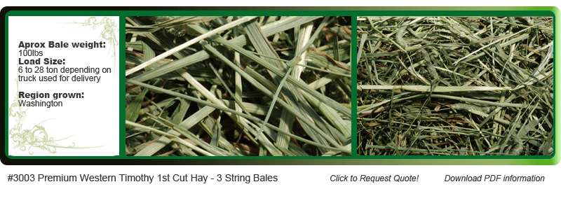 Premium western timothy 1st cut hay 3 string bales