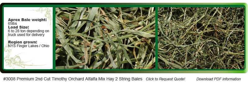 Premium 2nd cut timothy orchard alfalfa mix hay 2 string bales